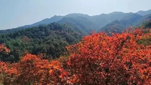 诗词：沁园春 秋