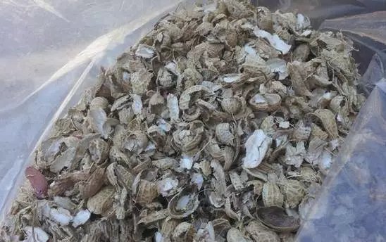 『自制』养兰花总是烂根?用这种自制“料”,疏松透气、根不烂根,好管理