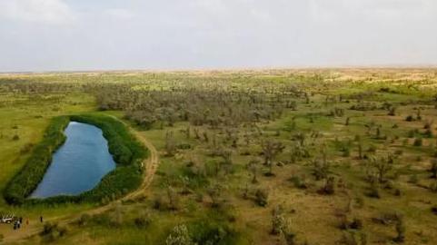 中国“神来之笔”,引入黄河之水将沙漠变绿洲,游客:中国的力量