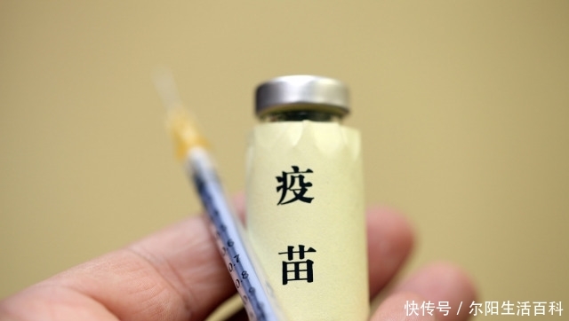 「非洲」非洲猪瘟疫苗将进入临床试验阶段，养猪人别开心，离上
