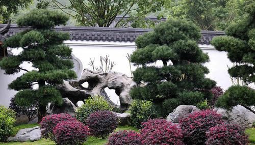  [种植]中国人的院子，最适合种这12种树！你家有吗？