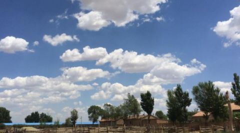  【蔬菜】世界上最“悲催”沙漠，被中国人当菜园，每年收10000多