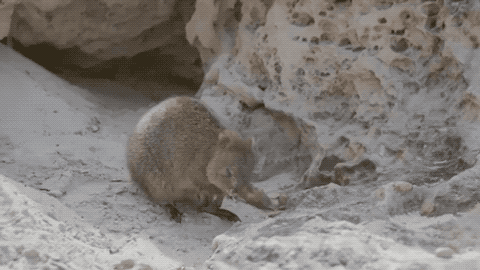 2020年最大的心愿