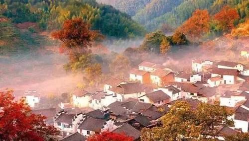 驿道古枫，世外桃源！婺源的秋天才真的是美哭了