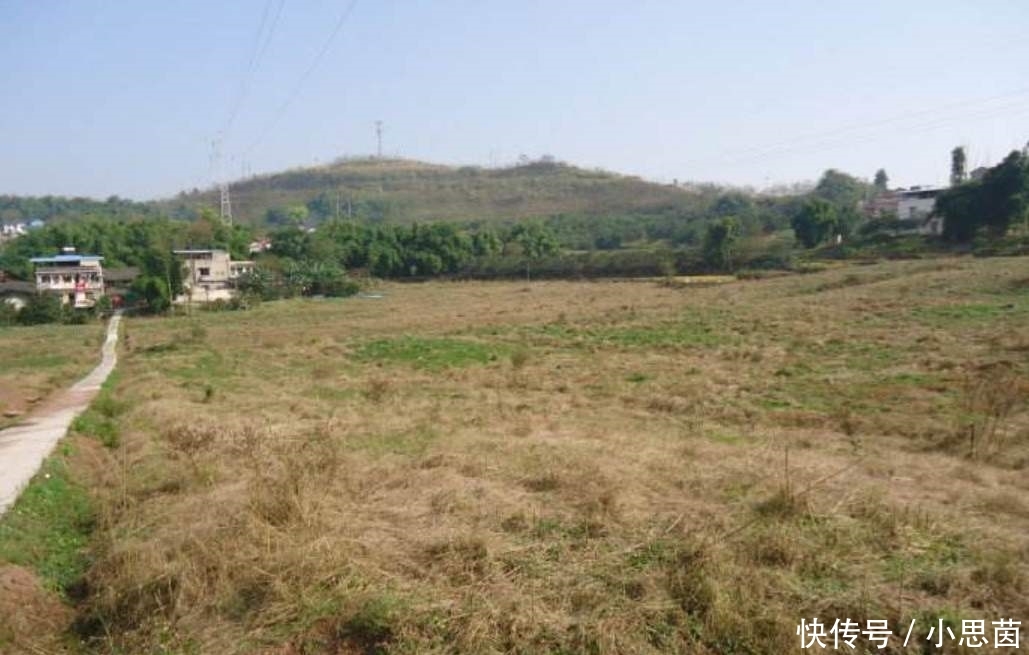  抛荒|袁隆平的担忧：大量粮食靠进口，农村却土地抛荒、种树怪象