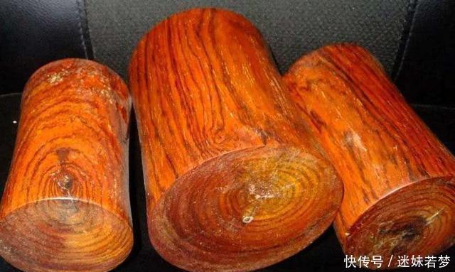  「中国」中国最“珍贵”的树，1公斤卖到9000元，曾经还被人当柴