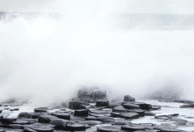 花朵搭配上绿色的叶，非常娇艳欲滴，看起来让人心情愉悦