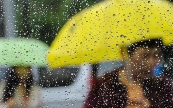 大雨+雷暴+大风！明起，河南将迎新一轮降雨...