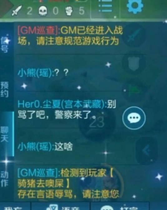 王者荣耀居然有GM巡查 玩家问GM是啥