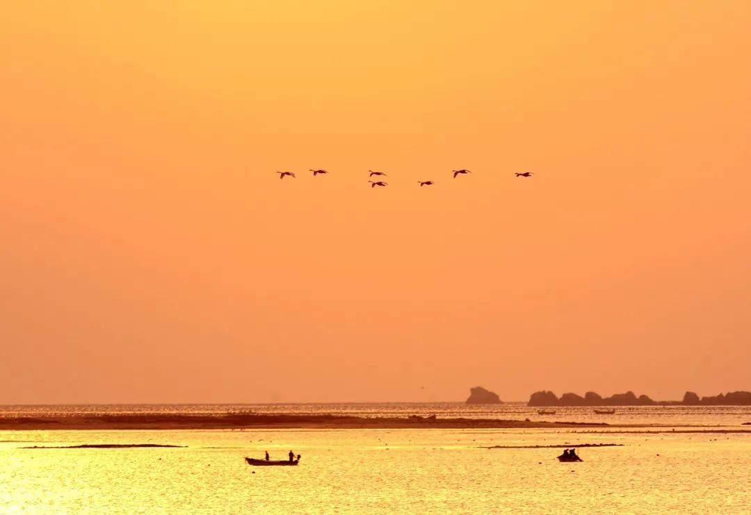 “小城市”为何引来“远方客”？
