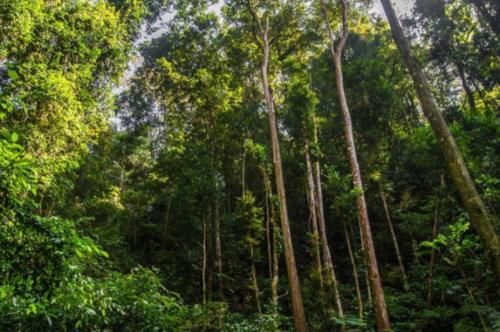 云南最美的5个景区，一片原始的自然风光，引无数游客慕名前来！