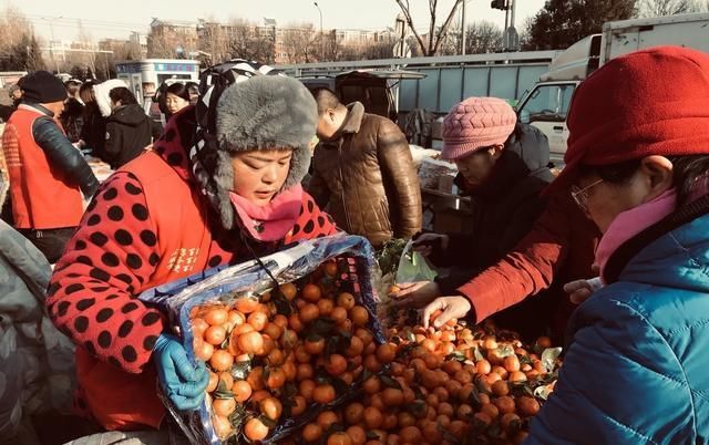  【收购价】砂糖橘市场波动大，收购价每斤从5元降到1元，果农心