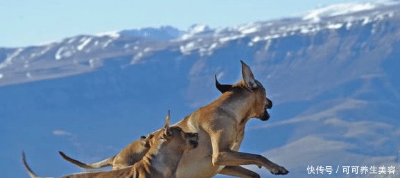 t015d51c85748cd8f14.jpg?size=577x257