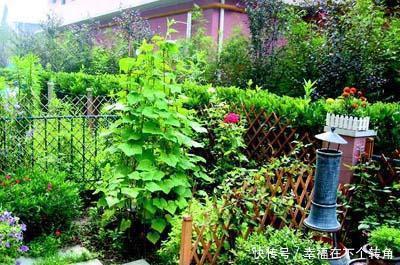  「快乐」篱笆小院住在乡村的快乐，你想体验吗！