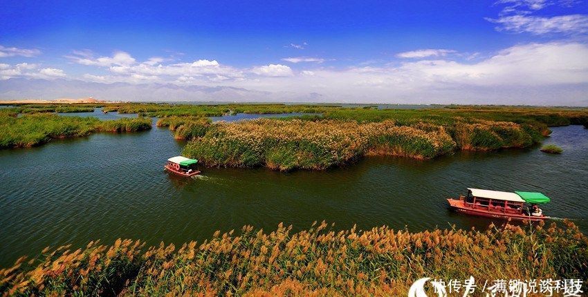 宁夏沙湖5A级景区推出金秋免票优惠措施