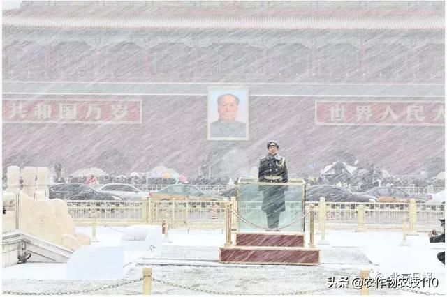 降雪要覆盖北方11省?“这么大的雪，菜农这两天肯定更忙了。