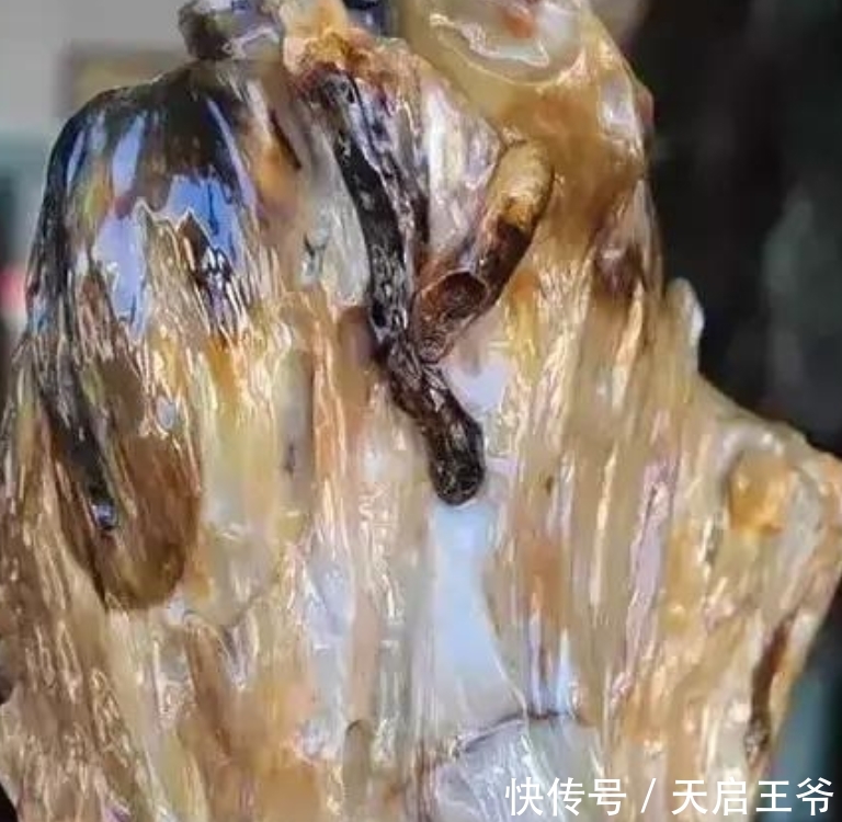  【巨树】2亿年前的五条虫子 与大树一起变成了玉石！