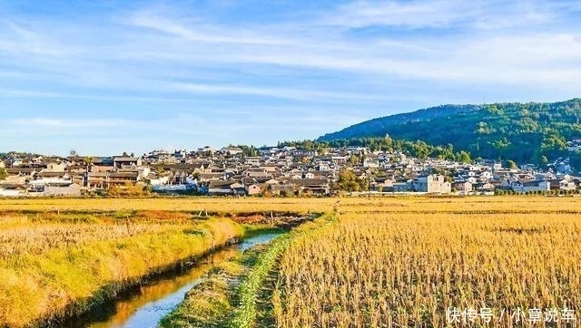 秋天的云南，哪个地方最美？这里的三千银杏，黄了整个世界