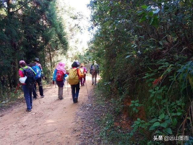 随走昆明金殿后山，穿行在云南自然森林中心的惬意体验