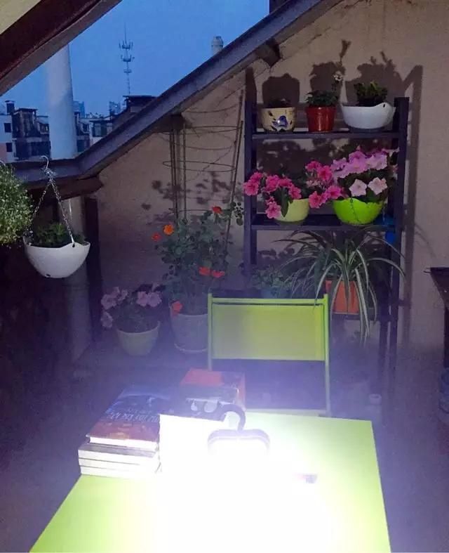 『花儿』屋顶造一个清新居家“小花园”,一起看花儿沐浴阳光雨露
