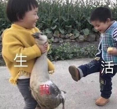 造谣惊动大使馆的北美吐槽君被封，网友却说：罚轻了