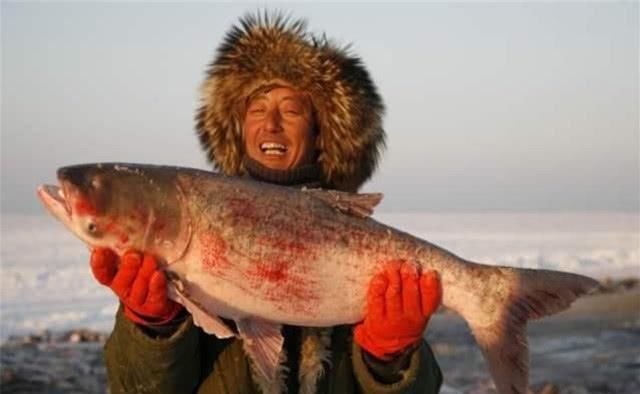 查干湖的鱼为什么越捞越多了?渔民:你看这群商人,哪有这么干的