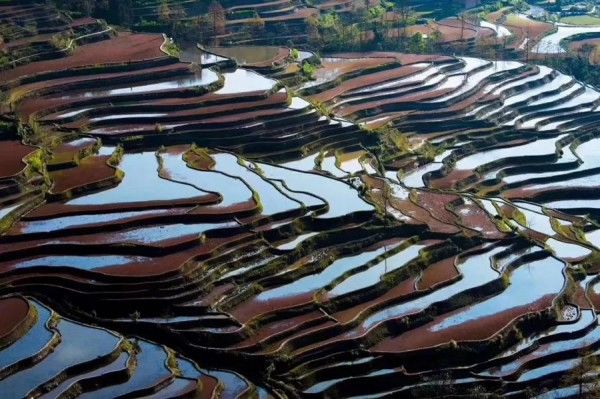 大促299元超值抢购元阳599自由行套餐