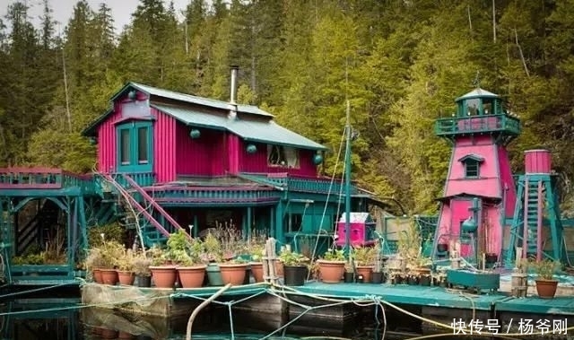  蔬菜：下半生，和爱的人一起养花种菜可好