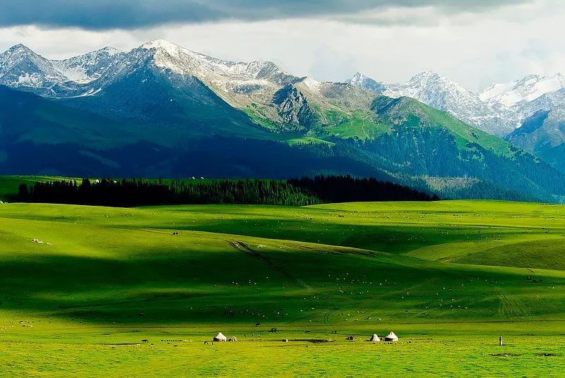 那拉提景区吸引你的不仅仅是美丽的景色,还有这些美丽