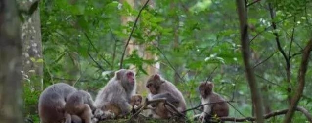 湖南第一空城，怀化跟郴州都没它的空，它的名气盖住了长沙