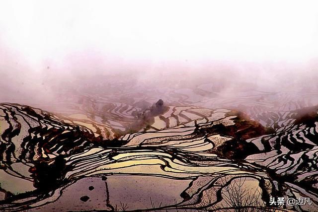 《云南风光》多依树梯田，壮美秀丽，如梦如幻的人间仙境！