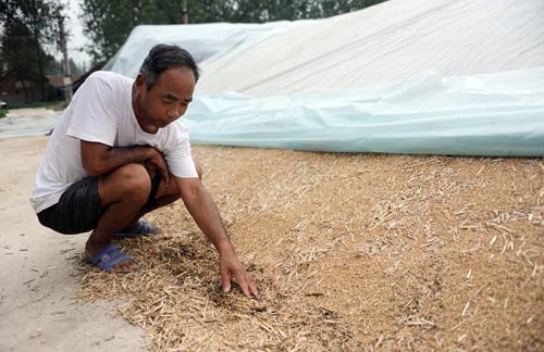  反对@未来中国，如果粮价涨到10元是好是坏为什么有农民会反对