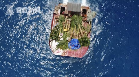  树苗■一棵南海小树苗的“安家”Vlog