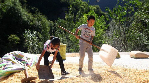  条件：农村分户后可申请宅基地？另外还有哪些好处？满足3个条件