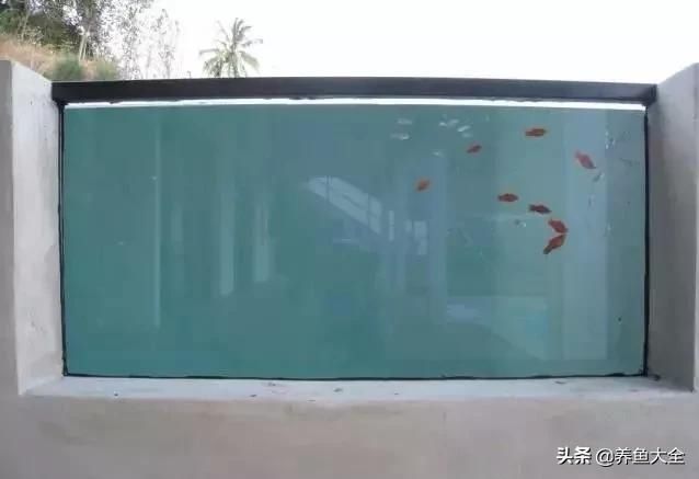  「漂亮」这么漂亮的龙池，竟然用3个垃圾桶做过滤？