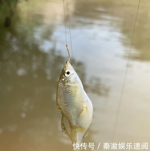  【建议】为了渔获无所不用其极，这3种没底线的钓鱼人，建议你离他远点