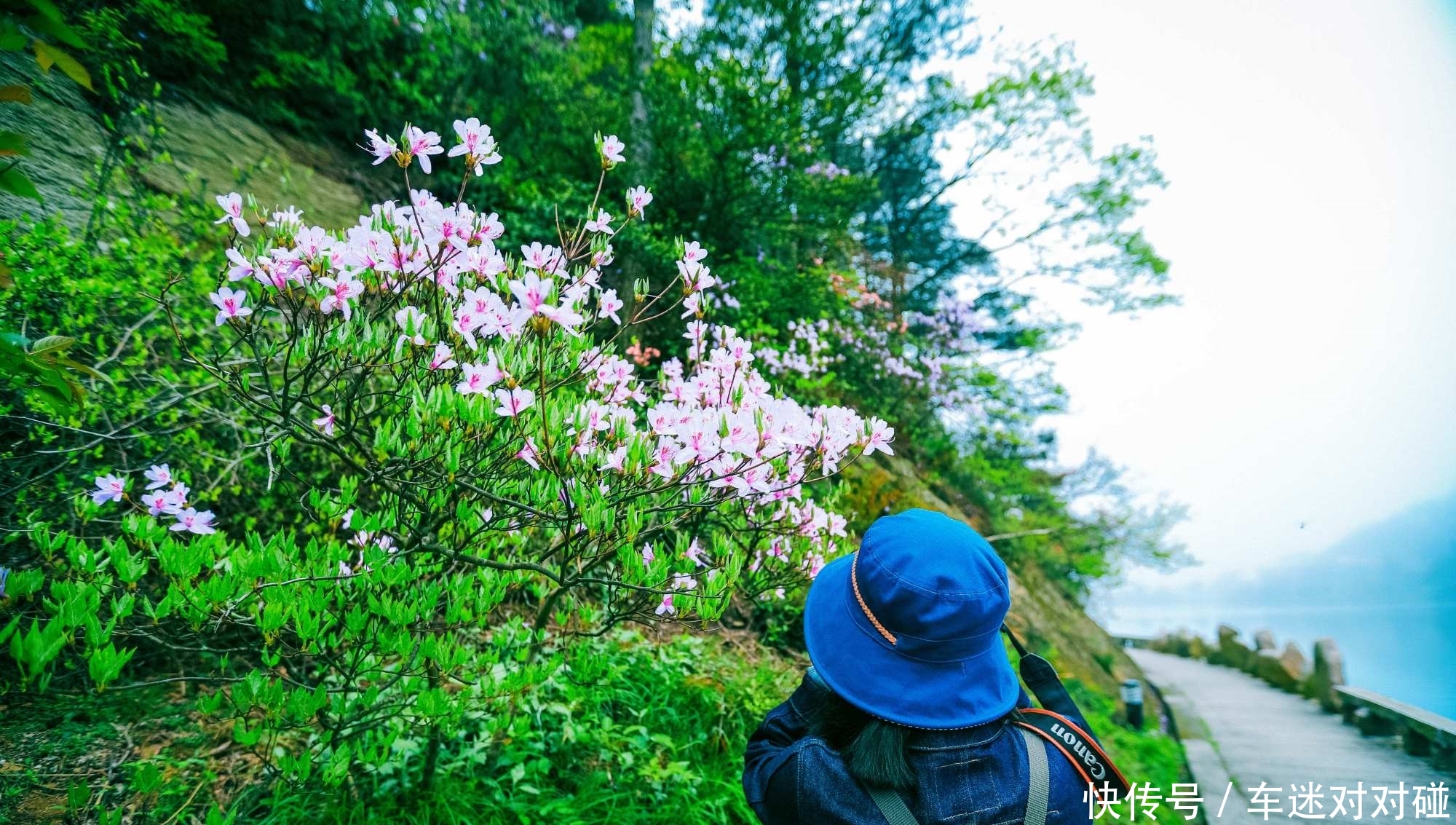 距离安庆仅1小时，有个比黄山还美的避暑胜地，你知道是哪里吗？