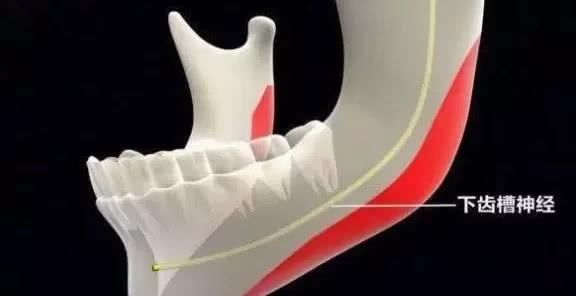 「神经血管」最高级别的整形手术,你知道吗?