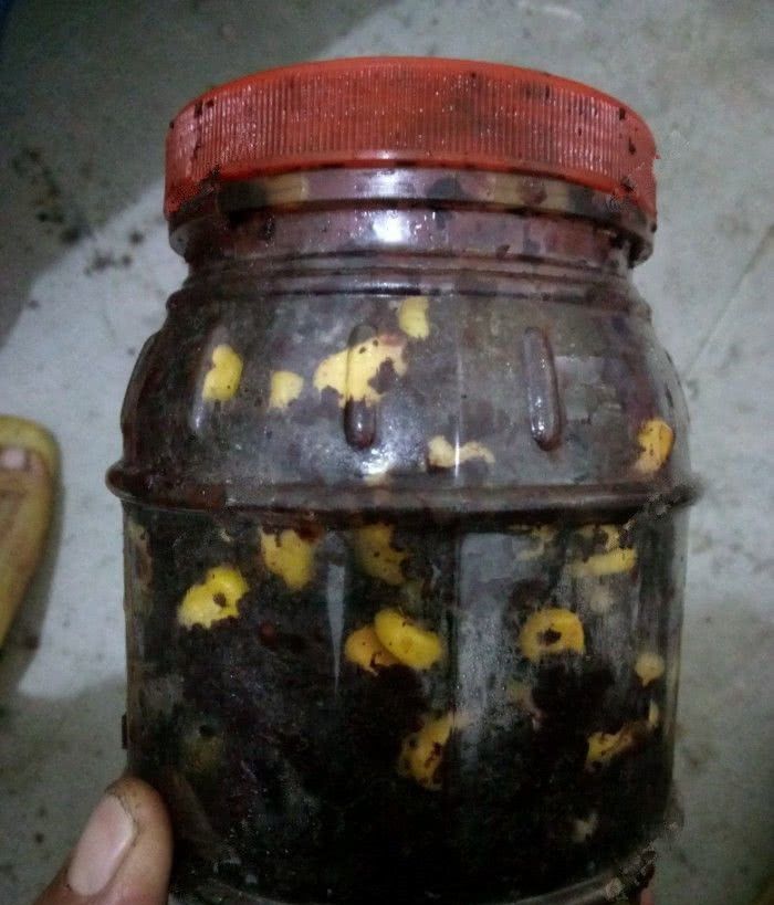  渣渣：闲来无事在家，制作玉米钓饵及玉米窝料！