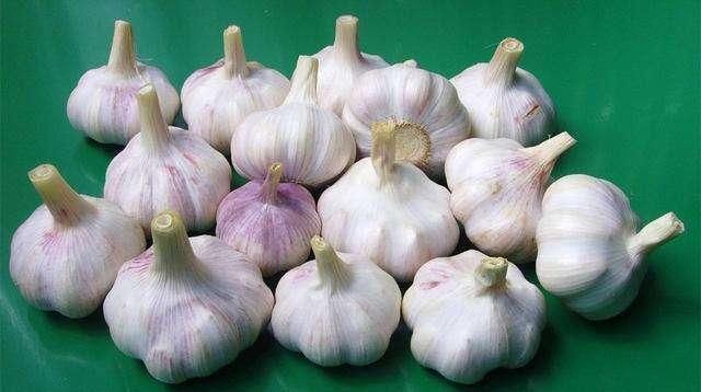  「发芽」原来保存大蒜这么简单，这样做一年也不发芽不腐烂，真的涨知识了