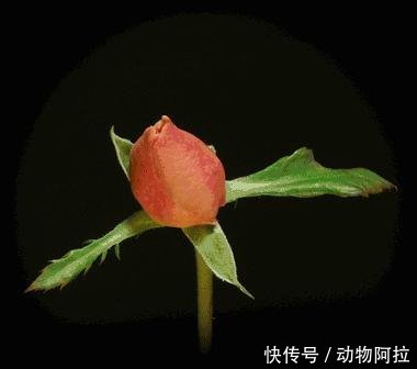 2019年养老金变化，新政出台养老金或增加！这些老人可以得到