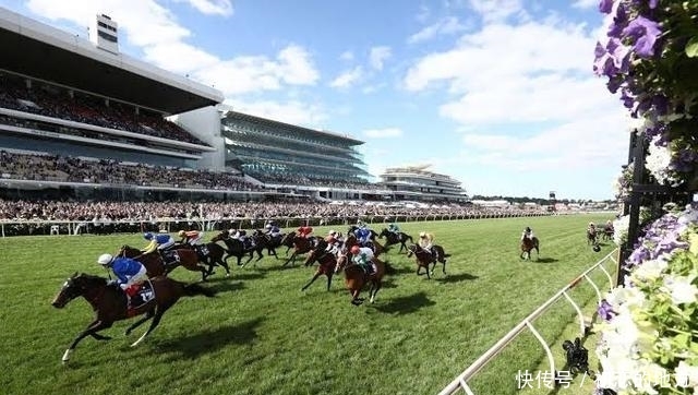 澳大利亚墨尔本比赛