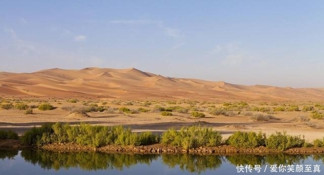  猪肉@穆斯林为什么不吃猪肉 原来是在中东形成的