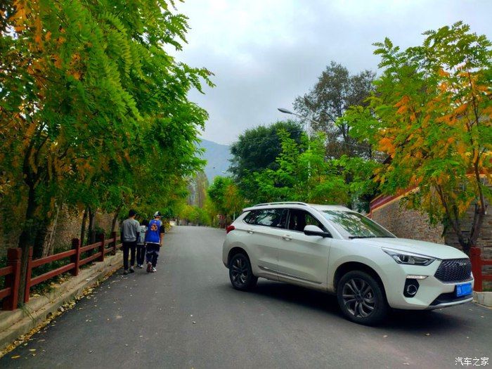 十一小假，哈弗H6 Coupe和表妹一起游甘南记