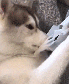搞笑@搞笑GIF:事实证明光脚的玩不过穿鞋的!