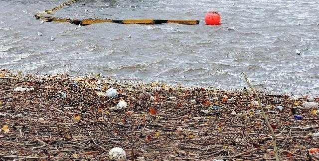  禁止@为保护环境，洋垃圾进口被中国禁止后，日本发生了变化？