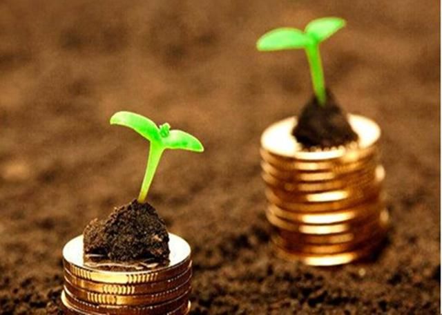 农民：农村的合作社都在骗补贴不干活！为什么国家还要大力支持？