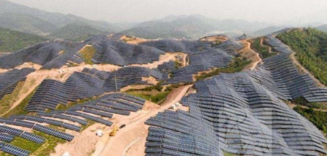  #解决#中国在发电站放了几千只羊，一个世界难题，就这样被羊给