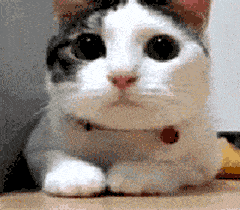 日本年轻人蜜月的首选之地，好多中国人还不知道