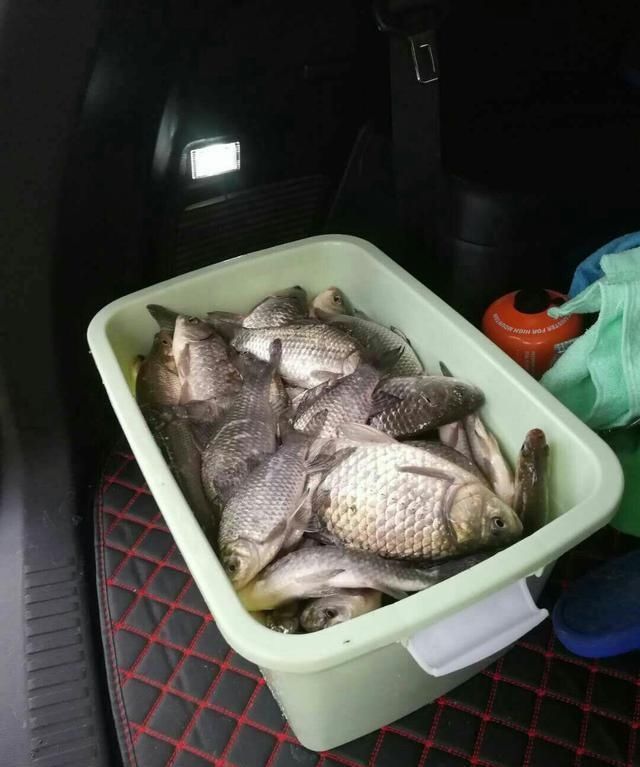 【自制】「自制鱼饵」窝料制作千千万，适合自己的才最佳